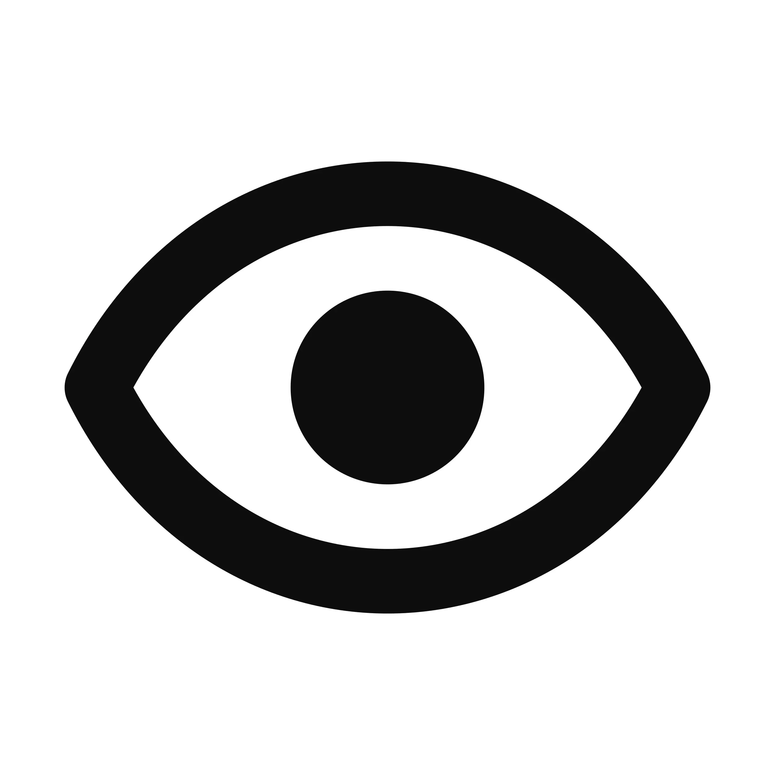 Vision