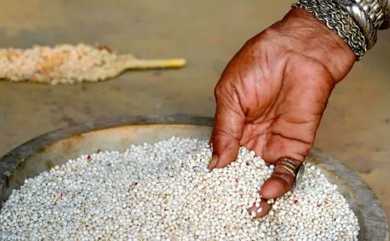હાઈબ્રિડ બિયારણ