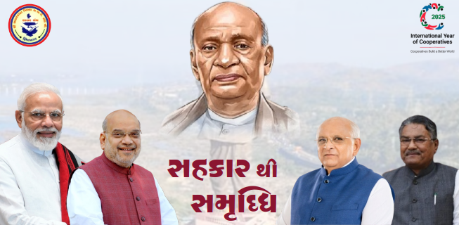 સરકારી યોજનાઓ હેઠળની સેવાઓ